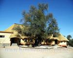 Hammerstein Lodge & Camp, Namibija - First Minute